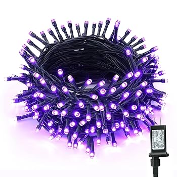 Amazon.com: BrizLabs Purple Halloween Lights, 78.74ft 240